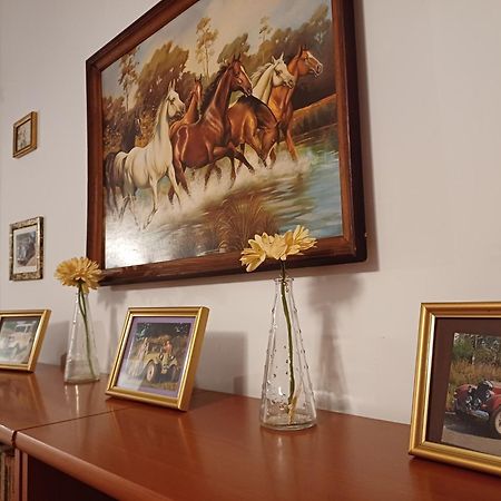Letnisko Nad Goplem Villa Skulsk Dış mekan fotoğraf